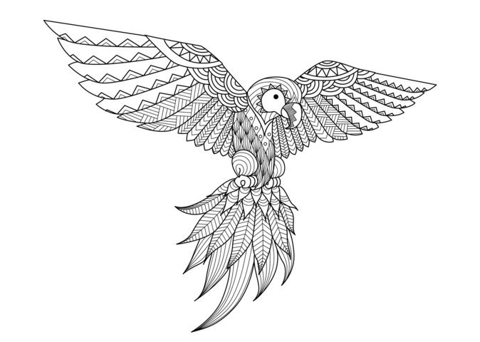 Coloriage Adulte Zentangle Perroquet Par Bimdeedee - Adulte à imprimer